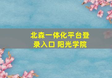 北森一体化平台登录入口 阳光学院